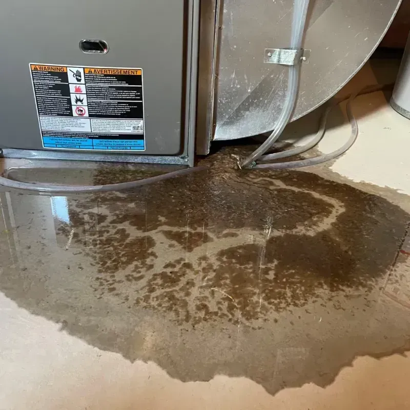 Appliance Leak Cleanup in Tulsa, OK